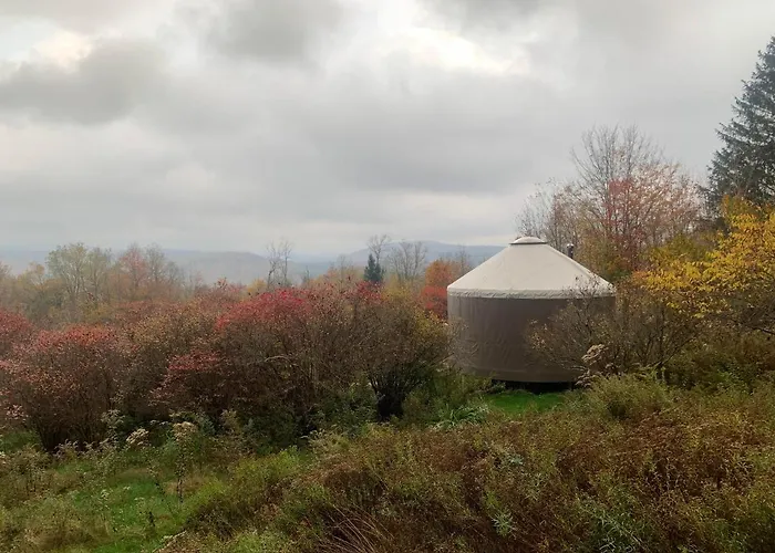 Livingston Manor Yurt