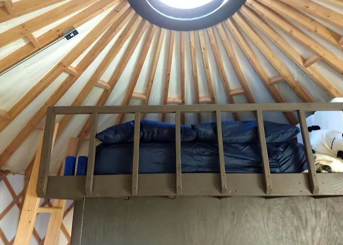 Livingston Manor Yurt
