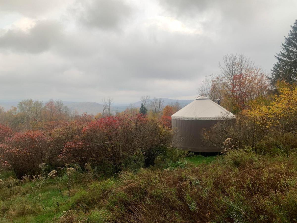 Livingston Manor Yurt Tente de luxe