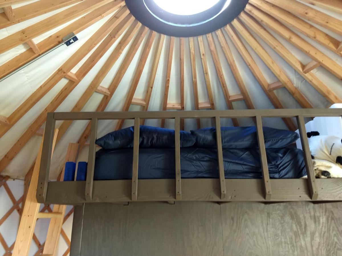 Livingston Manor Yurt