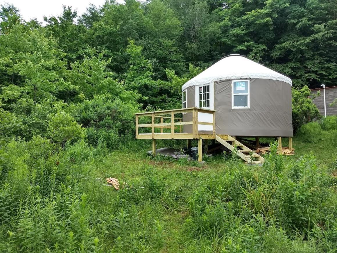 Livingston Manor Yurt Parksville